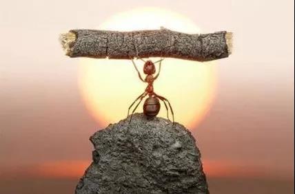 【共業(yè)堂】約客戶，就(jiù)是(shì)要(yào)做(zuò)到(dào)膽大(dà)心細臉皮厚！